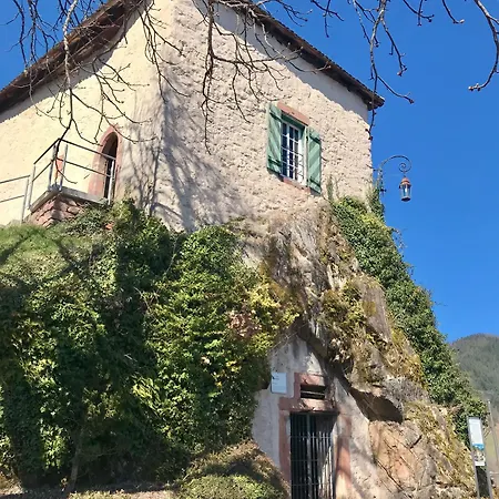 Apartamento Im Gruenen