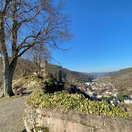 Apartman Im Gruenen Hornberg